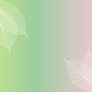 Pink and green desktop wallpaper