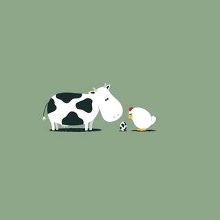 Desktop cow wallpaper