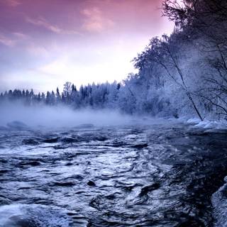 Cold desktop wallpaper