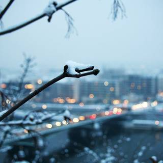 Cold desktop wallpaper