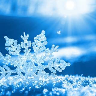 Cold desktop wallpaper