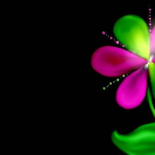 Pink and green desktop wallpaper