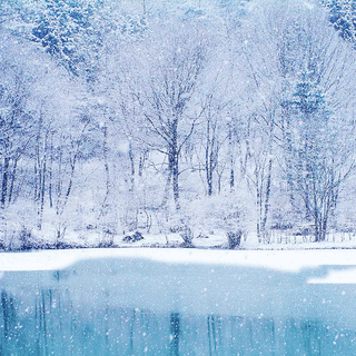 Cold desktop wallpaper