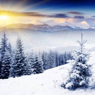 Cold desktop wallpaper