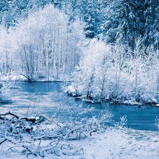 Cold desktop wallpaper