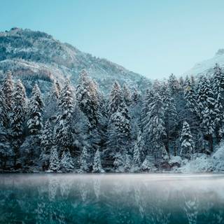 Cold desktop wallpaper