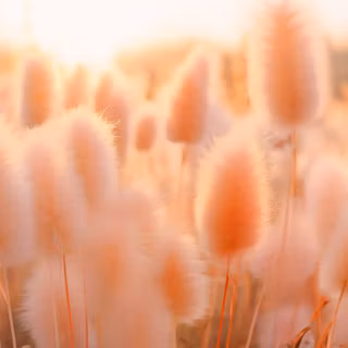 Pantone desktop wallpaper
