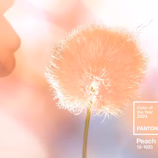 Pantone desktop wallpaper
