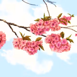 Genderfluid desktop wallpaper