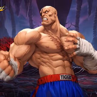 Street Fighter desktop wallpaper