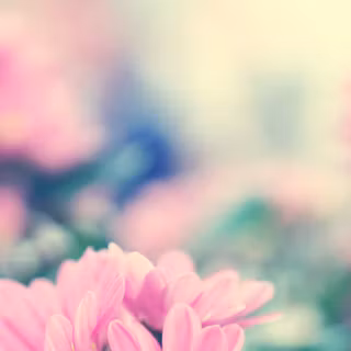 Mood desktop wallpaper