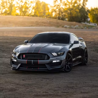Black Mustang mobile wallpaper