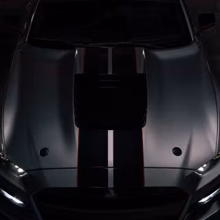 Black Mustang mobile wallpaper
