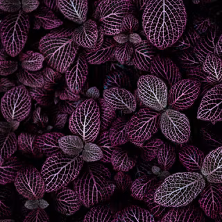 Mobile pattern wallpaper