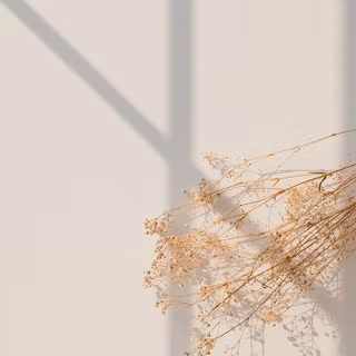 White aesthetic mobile wallpaper