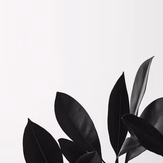 White aesthetic mobile wallpaper
