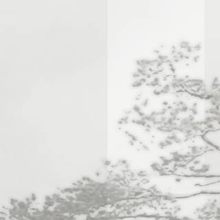 White aesthetic mobile wallpaper