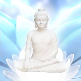 Lord Buddha mobile wallpaper