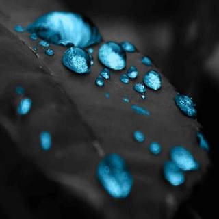 Water drops mobile wallpaper