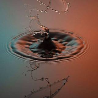 Water drops mobile wallpaper
