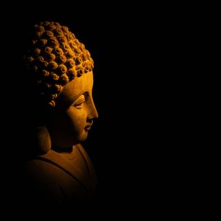 Buddha nature wallpaper