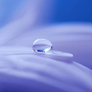 Water drops mobile wallpaper
