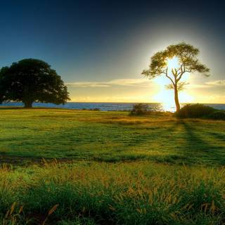 Spring wallpaper pictures