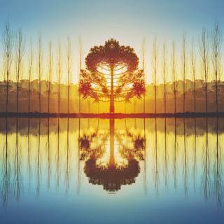 Profile set wallpaper