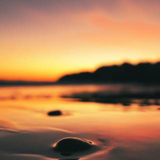 Profile set wallpaper