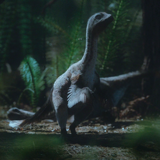 Therizinosauria wallpaper