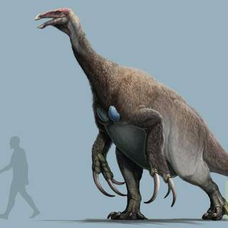 Therizinosauria wallpaper