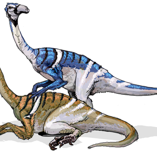 Therizinosauria wallpaper