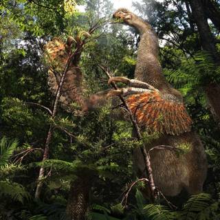 Therizinosauria wallpaper