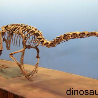 Therizinosauria wallpaper