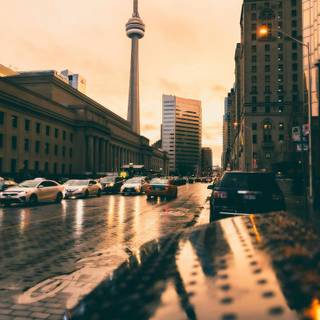 Toronto 4k iPhone wallpaper
