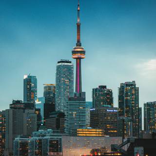 Toronto 4k iPhone wallpaper