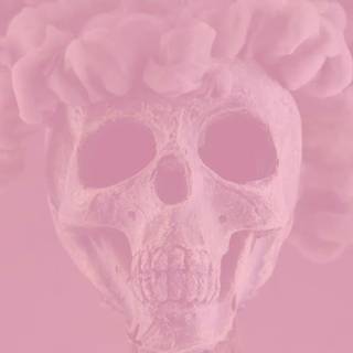 Y2k desktop skull wallpaper