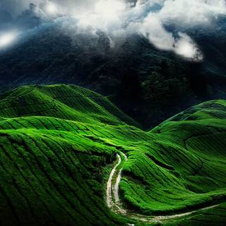 Fantasy green wallpaper