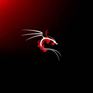 Kali Linux black wallpaper