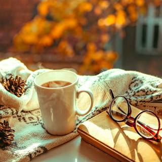 Cozy autumn book wallpaper
