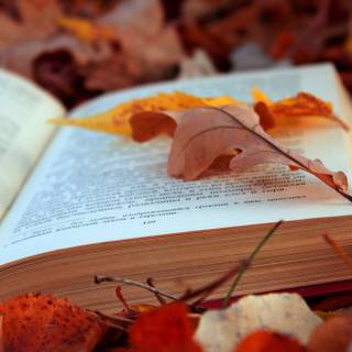 Cozy autumn book wallpaper