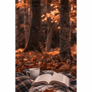 Cozy autumn book wallpaper