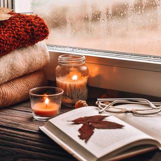 Cozy autumn book wallpaper