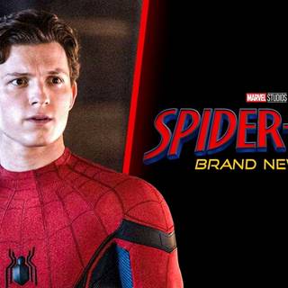 Spider-Man: Brand New Day wallpaper