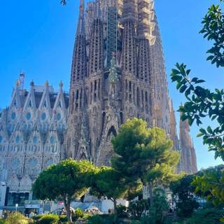 La Barceloneta wallpaper