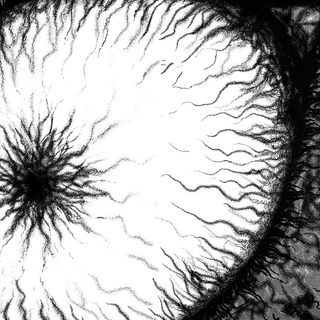 Computer Hellstar wallpaper