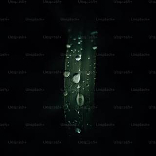 Amoled water drop wallpaper