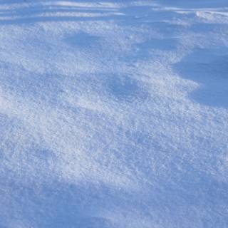 Snow texture wallpaper