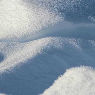 Snow texture wallpaper