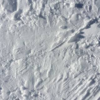 Snow texture wallpaper